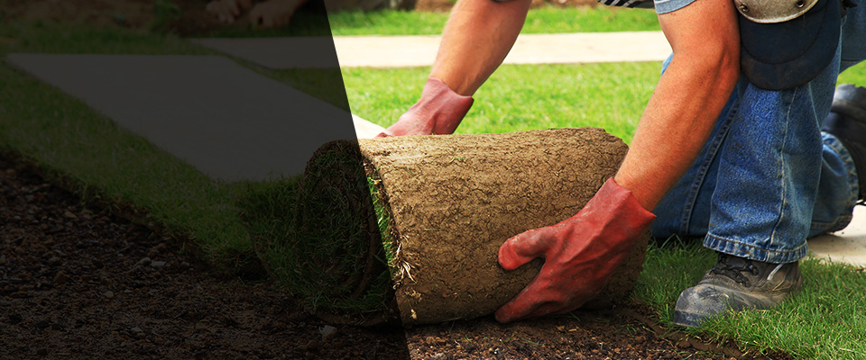 Egg Harbor Township Landscapers